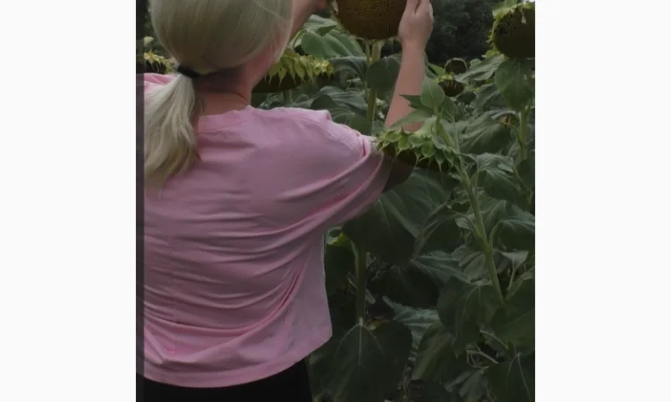 Насіння соняшника Даглас A-G гранстар 50гр – продаж - фото № 1