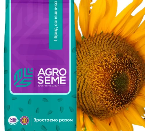 Семена подсолнечника НСХ 6045, НС Таурус, НС Голіант - фото № 1