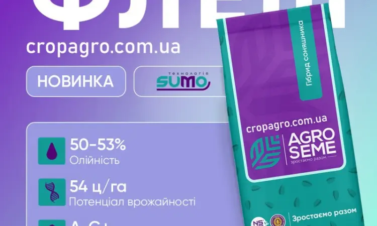 Насіння соняшника Флеш – ранній гібрид під Гранстар - фото № 1
