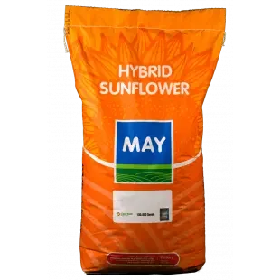 Семена подсолнечника Метеор CL - устойчивый к волчку и болезням - фото № 1