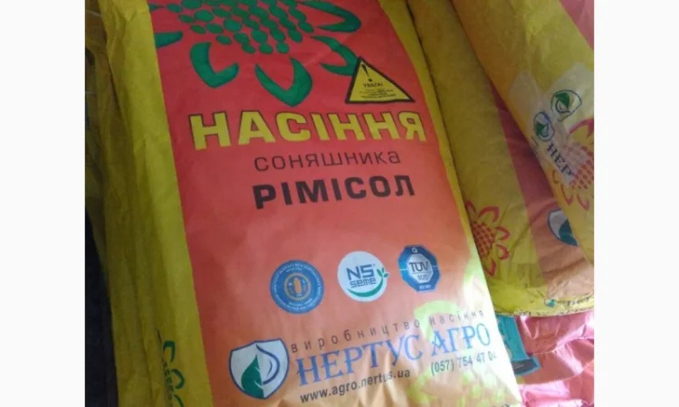 Гибриды подсолнечника засухоустойчивы от заразихы Фалкон, Златибор - фото № 1