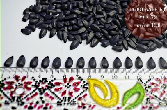 Семена подсолнечника Ново-Алье в продаже - фото № 1