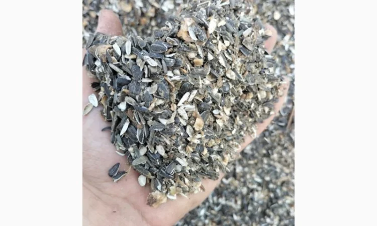 Закуповуємо відходи соняшника - фото № 1