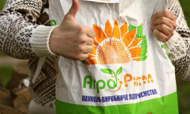 Насіння соняшнику Рекольд під гербіцид Гранстар - фото № 1