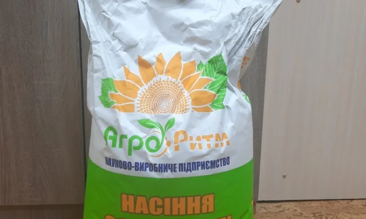 Насіння соняшнику Рекольд – висока врожайність - фото № 1