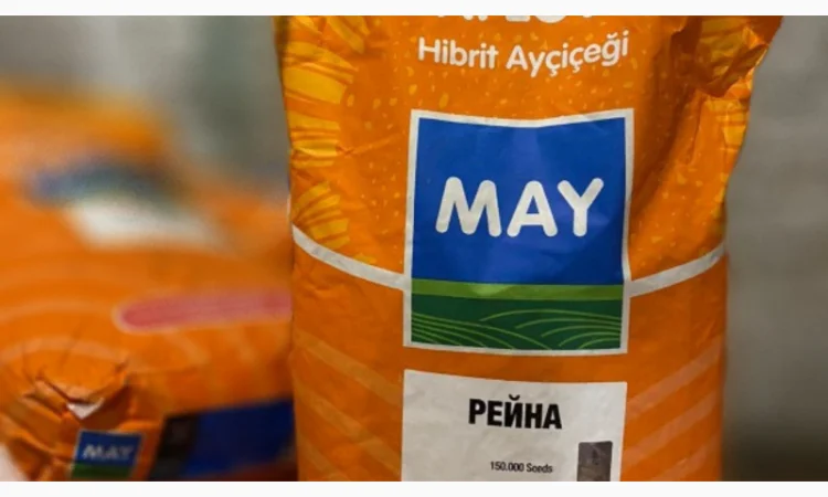 Насіння соняшника Рейна у Дніпрі - фото № 1