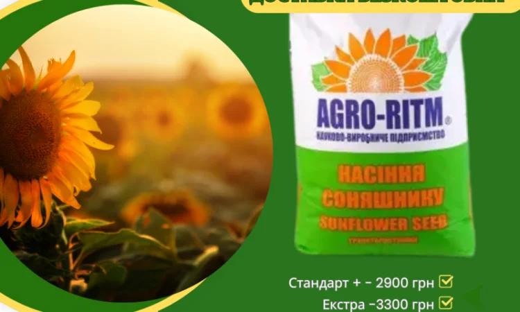 Насіння соняшнику АР 1801 під гербіцид Гранстар - фото № 1