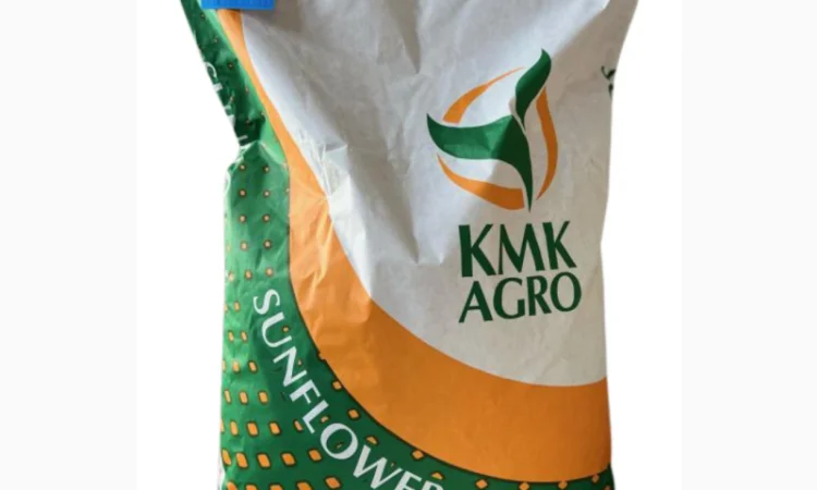 Насіння соняшника Даглас (Екстра) 2023 рік - фото № 2