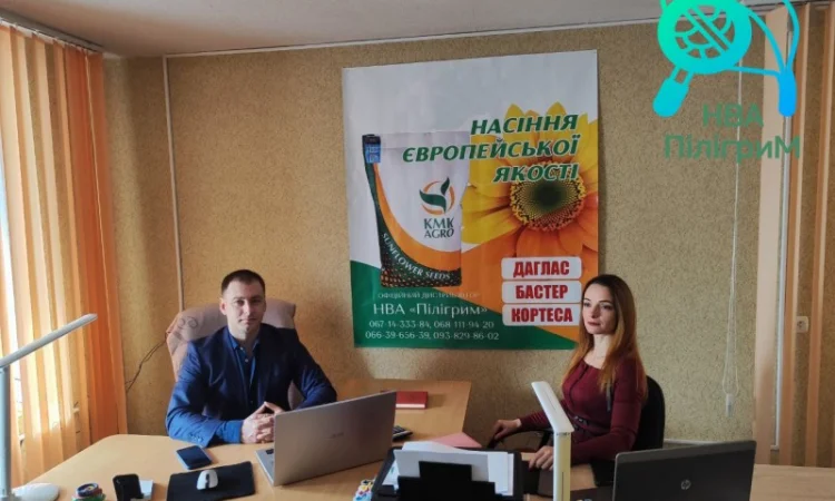 Семена соняшника "Флокс" 50 гр – високоякісний гібрид для успішного вирощування - фото № 4