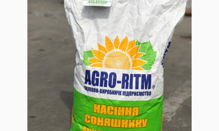 Семена подсолнечника Альдазор – устойчивый к гранстару, высокоурожайный - фото № 1