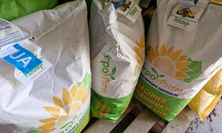 Насіння соняшнику Рекольд – стійкий до бур'янів, для складних умов - фото № 5