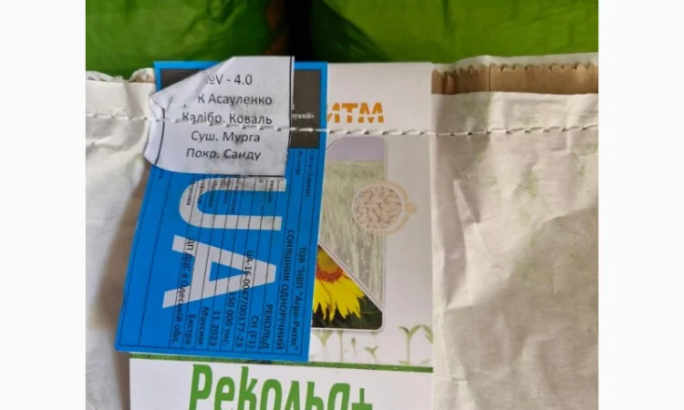 Насіння соняшнику Рекольд – стійкий до бур'янів, для складних умов - фото № 6