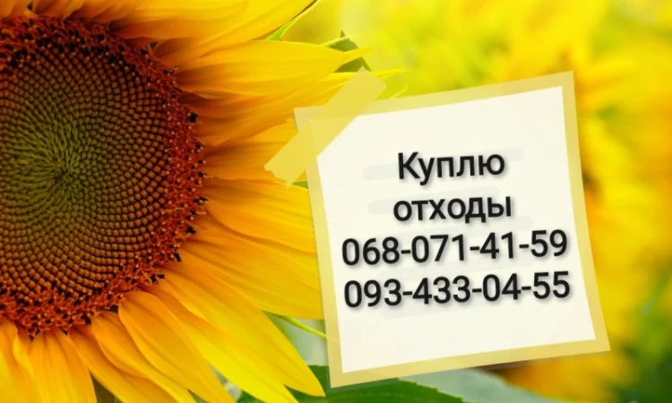 Куплю відходи ділові соняшника - фото № 1