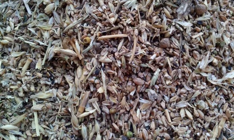 Закупівля зерновідходів, некондиції - фото № 1