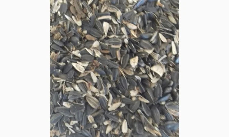 Куплю семечки второго сорта - фото № 2