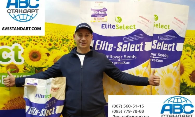 Семена сумо ЕС Саксон под Гранстар. Гибрид Саксон устойчив к расам заразихи A-G+. Стандарт - фото № 4