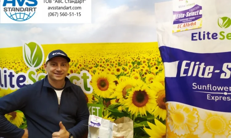 Семена сумо ЕС Саксон под Гранстар. Гибрид Саксон устойчив к расам заразихи A-G+. Стандарт - фото № 5