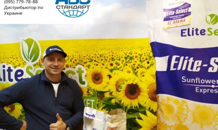 Семена сумо ЕС Саксон под Гранстар. Гибрид Саксон устойчив к расам заразихи A-G+. Стандарт - фото № 6