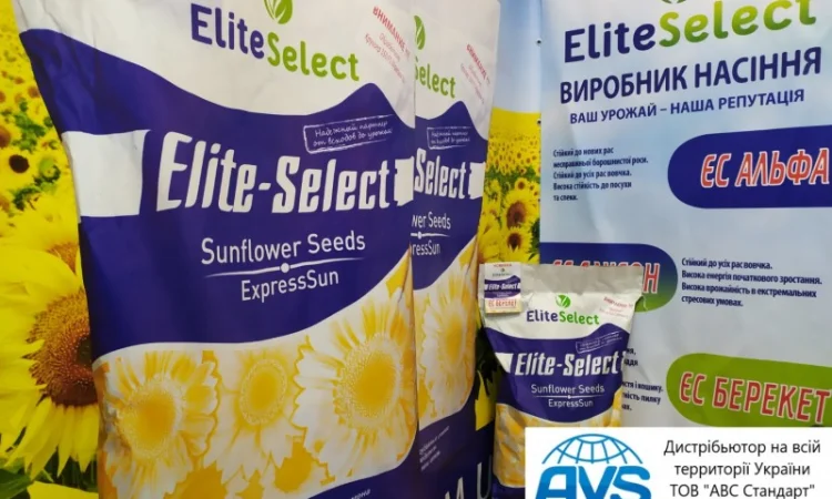 Семена подсолнечника под Гранстар ЕС АЛЬФА. Гибрид ЕС АЛЬФА заразиха A-G - фото № 5