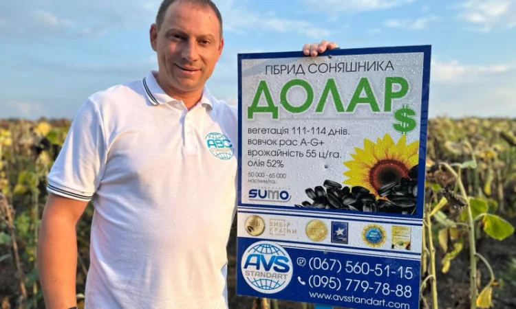 Соняшник під гранстар ДОЛАР. Високоврожайний гібрид ДОЛАР 55ц/га - фото № 4