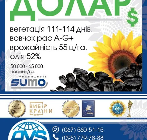 Соняшник під гранстар ДОЛАР. Високоврожайний гібрид ДОЛАР 55ц/га - фото № 5