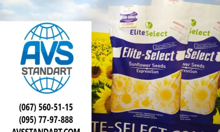 Семена ЕС Саксон под Гранстар. Гибрид подсолнечника ЕС Саксон A-G. Стандарт фракция - фото № 2