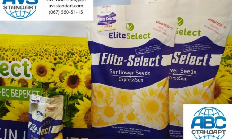 Подсолнечник под гербицид Гранстар Про Экспресс ЕС АЛЬФА. Засухоустойчивый гибрид ЕС Альфа - фото № 5