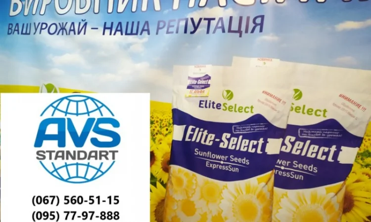 Гибрид подсолнечника ЕС Саксон - высокая урожайность 42 ц/га - фото № 2