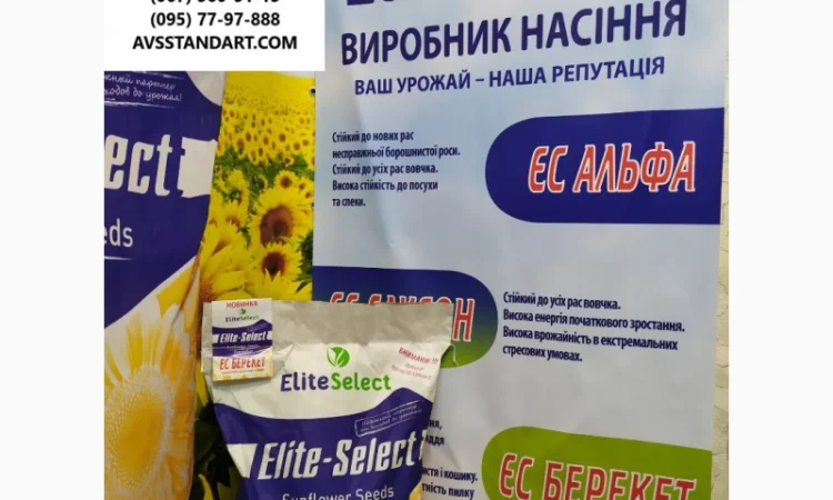 Гибрид подсолнечника ЕС Саксон - высокая урожайность 42 ц/га - фото № 5