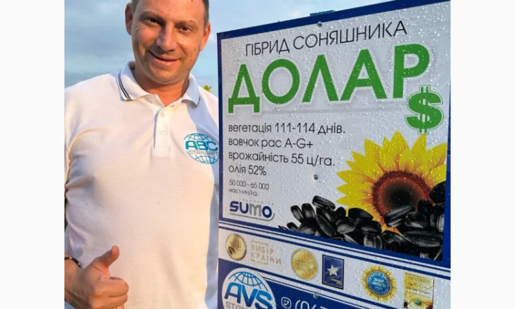 Гібрид соняшника Доллар Сумо стійкий до вовчка A-G+. Врожайний соняшник Долар 55ц/га - фото № 2
