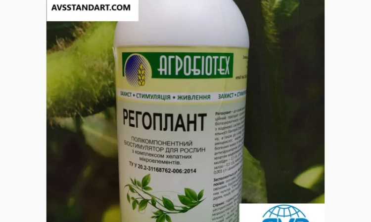 Кондитерский подсолнечник Геракл 93-99дней, 36ц/га, заразиха A-F+. Болгария - фото № 5