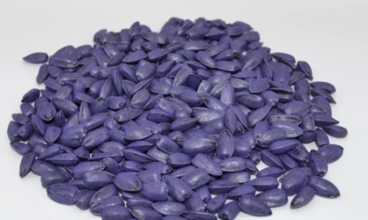 Продам Соняшник Авалон-, Тор, Пегас фракція Преміум - фото № 1