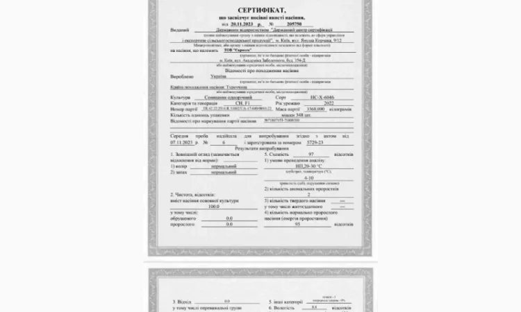 Продам насіння соняшнику Тор( Гранстар) - фото № 2