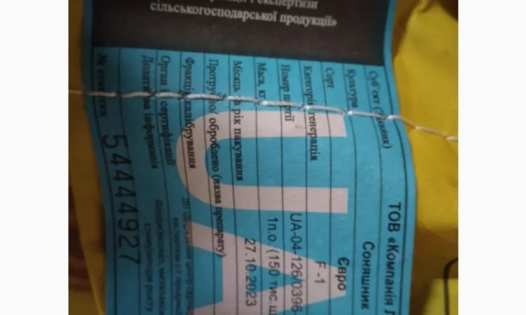 Продам насіння соняшнику Тор( Гранстар) - фото № 5