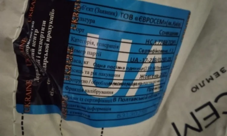 Продам насіння соняшнику Тор( Гранстар) - фото № 7