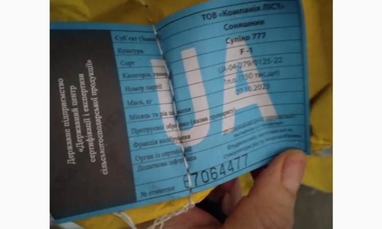 Продам насіння соняшнику Тор( Гранстар) - фото № 9