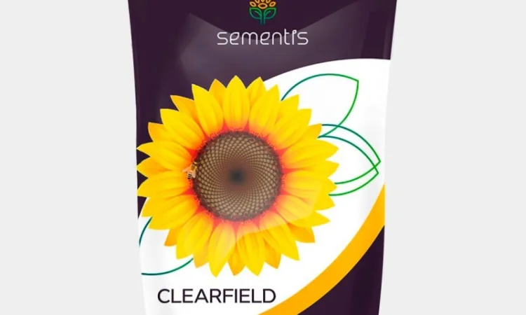 Продам насіння соняшнику Авалон, Тор, Старк, Суліко, Евро, Рімі-2, Командор 777, Пегас - фото № 2