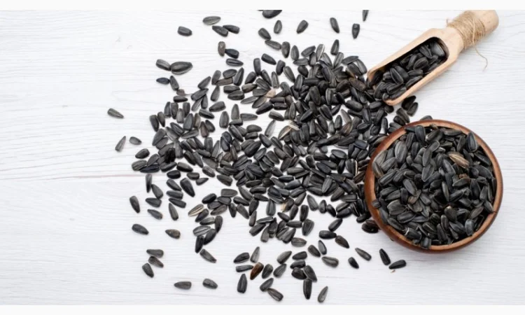 Продам соняшник 1500 т, Житомирська обл - фото № 1