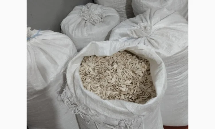 Насіння білого соняшника - фото № 2