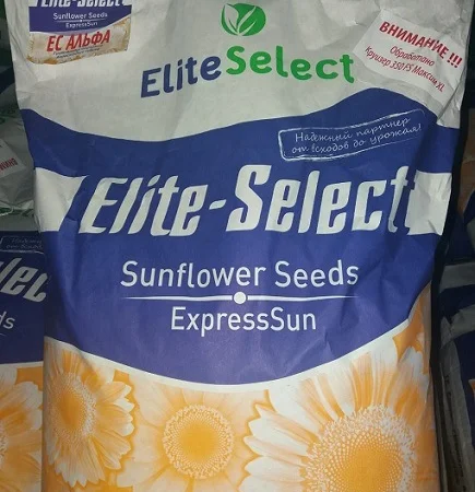 Насіння соняшника ЄС АЛЬФА - стійкий до Гранстару - фото № 1