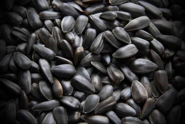 Закупаем семечку - фото № 1