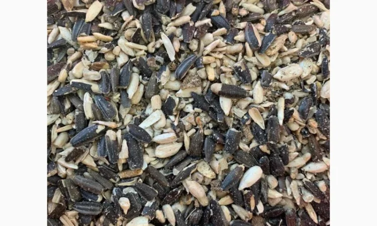 Закупаем отход подсолнечника - фото № 1