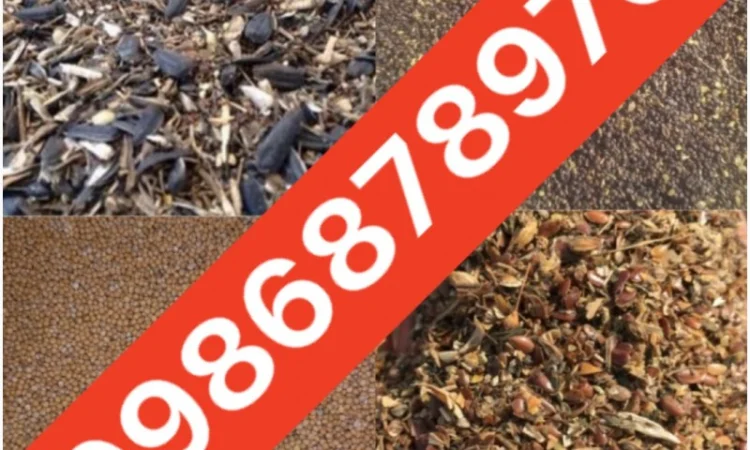 Закупаем отходы Подсолнечника - фото № 1