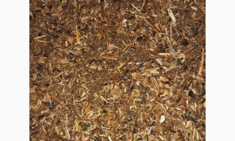 Продам мертвые отходы подсолнуха для пеллетов, брикетов - фото № 1