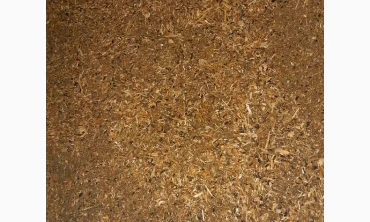 Продам мертвые отходы подсолнуха для пеллетов, брикетов - фото № 4