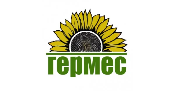 Подсолнух МЕРКУРИЙ ОР (Екстра) соняшник Меркурій ОР - фото № 6