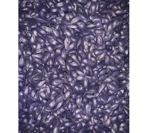 Насіння соняшника, гібрид ГУСЛЯР (повна стиглість 105 діб.) - фото № 2