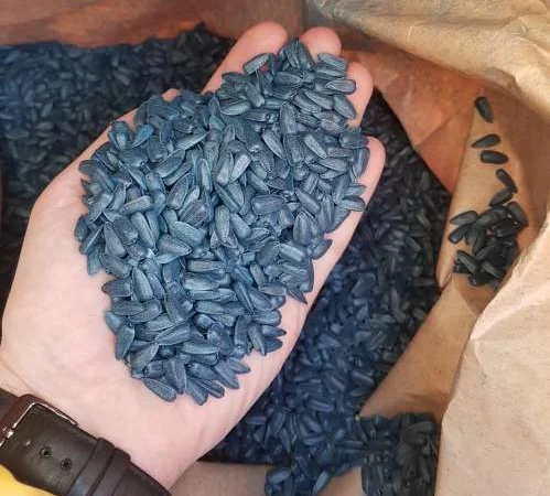 Семена подсолнечника PAYTON F 236 - фото № 1