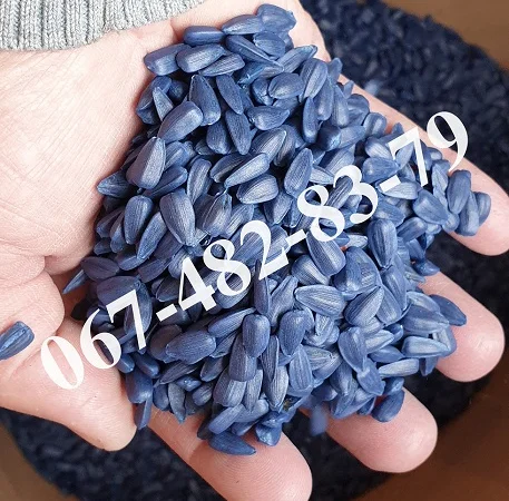 Семена подcолнечника LEBRON канадский трансгенный гибрид - фото № 1