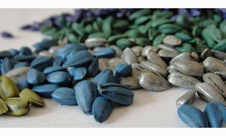 Закупаем некондиционный посевмат подсолнечника - фото № 1